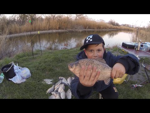 Видео: Ловим зачетных карасей
