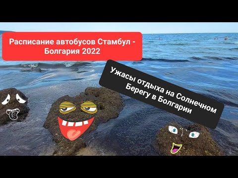 Видео: 2022 Болгария Расписание автобусов от Стамбула до Солнечного Берега. Водоросли. Сколопендры. Пожар.