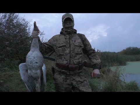 Видео: ОХОТА НА ВЕЧЕРНЕЙ ЗОРЬКЕ! НЕОЖИДАННЫЙ ТРОФЕЙ! ЧУТЬ НЕ ЛИШИЛСЯ ОРУЖИЯ!