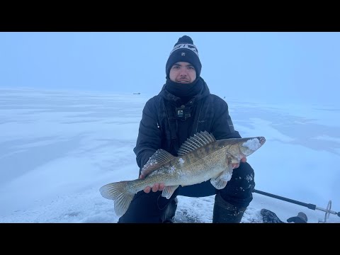 Видео: Первый КРУПНЯК. Два дня поиска. Рыбалка зимой 2025 с Практик 8.