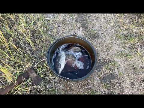 Видео: …на любимой реке #отдых #красотадуши #счастье #праздник #природа #красота #осень #рыбалка #любовь 