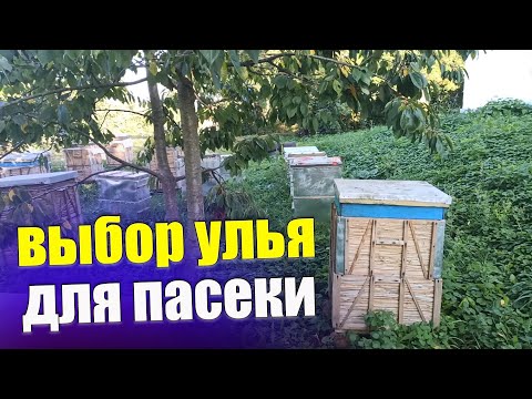 Видео: Лучший улей для пчеловодства по версии Пашка