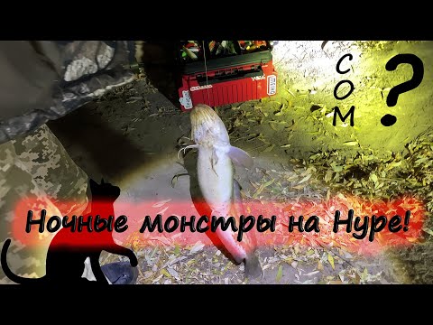 Видео: Тёмная Нура - что клюёт в темноте? И кто бродит в окресностях... Ночь, холод, но душа радуется