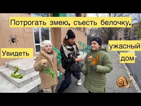 Видео: Где в Москве можно потрогать ящериц, змей и тараканов? А где съесть белочку? В конце - ужасный дом 😌