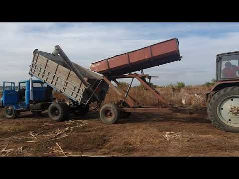 Видео: Простой протравитель семян и самодельный загрузчик сеялок