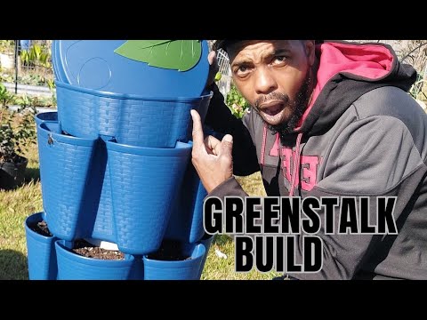 Видео: GREENSTALK СТРОИТЕЛЬСТВО | УРОЖАЙ ЯМАЙСКОГО ЩАВЕЛЯ | ОБНОВЛЕНИЕ ТЕПЛИЦЫ