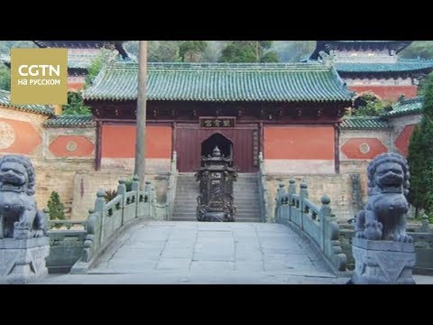 Видео: Тайцзи в горах Уданшань Серия 3 Дверь ко всему чудесному [Age0+]