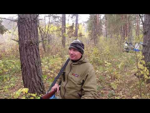 Видео: Напали дикие собаки, пришлось стрелять! Чужая территория. 