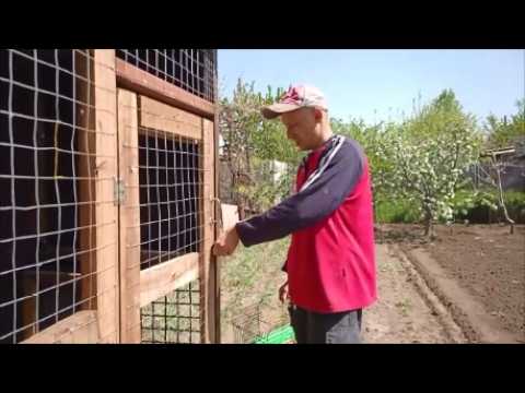 Видео: Крюковские голуби. Всех лишних прочь с будки. Клетка для одиноких и самая не гостеприимная порода.