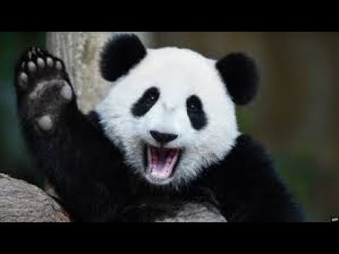 Видео: Решение аналитической задачи в Pandas