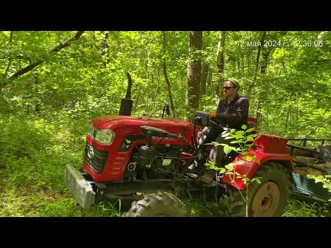 Видео: Едем в лес за валежником на тракторке Шифенг 244!