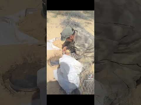 Видео: 9 сентября 2023 г.