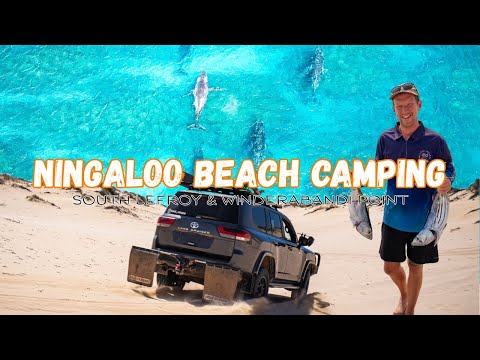 Видео: ПРОЩАЙ, Нингалу! — ЭПИЧЕСКИЙ пляжный кемпинг, рыбалка и езда на внедорожниках