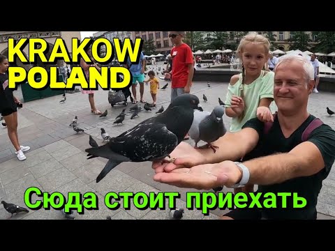 Видео: КРАКОВ, ПОЛЬША - ГУЛЯЕМ ПО ИСТОРИЧЕСКИМ КРАСОТАМ / Центр старого города