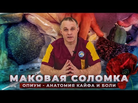 Видео: МАКОВАЯ СОЛОМКА | ОПИУМ: эффект от опийного мака | Симптомы ломки и последствия употребления