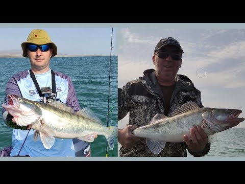 Видео: Рыбалка на Капчагае, СУДАК в сентябре!