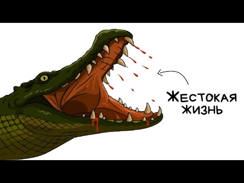 Видео: Почему быть морским крокодилом — отстой? (Анимация)