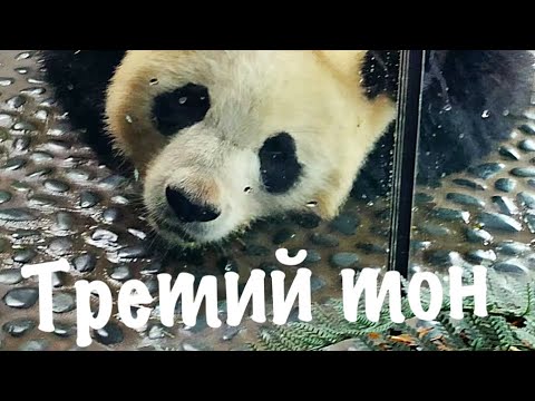 Видео: ТРЕТИЙ тон китайского языка • Почему не получается? • Как произносить правильно • Секрет 3-го тона