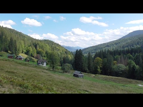 Видео: Полонина Залім. Водоспад Нарінецький. Відрив від реальності