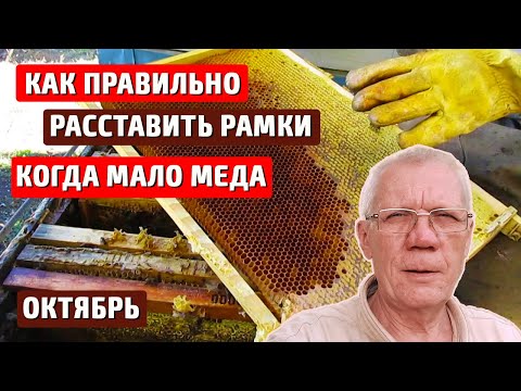 Видео: Как собрать гнездо пчел на зиму? Сколько должно быть меда на зиму?