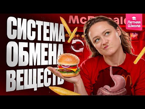 Видео: 8.1. Пищеварительная система. Обмен веществ | Летняя школа | ЕГЭ-2026 по биологии