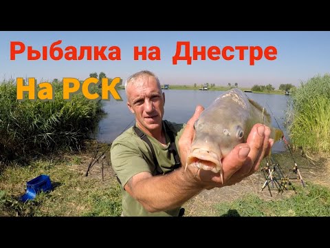 Видео: Рыбалка на Днестре 2024 с ночёвкой на РСК Маяки карась, карп клюёт #рыбалка # одых