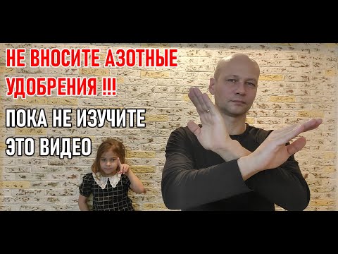 Видео: Азотное питание культур от А до Я