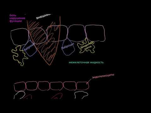 Видео: Сезгенүү реакциясы