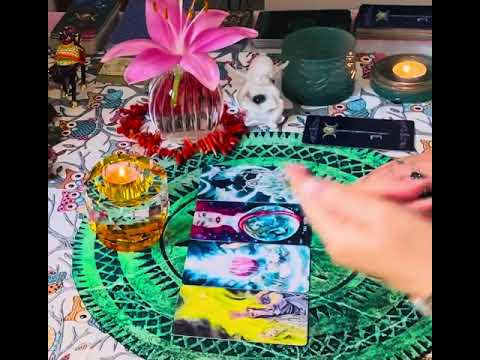 Видео: 🛡️🪬🛡️» Кто Держит Камень 🪨 за Пазухой на Вас в вашем окружении сегодня ☝️Кто эти люди👀».‼️🛡️🪬таро