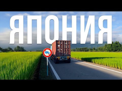 Видео: Проехал под запрещающий знак | Водитель в Японии