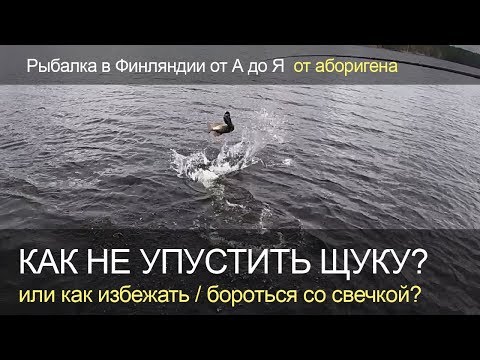 Видео: Как не упустить щуку? Боремся со "свечкой".  Рыбалка в Финляндии