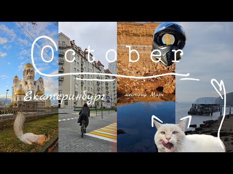 Видео: Октябрь 2025 | Екатеринбург за 3 дня | Осень в лесу | Мы на Марсе