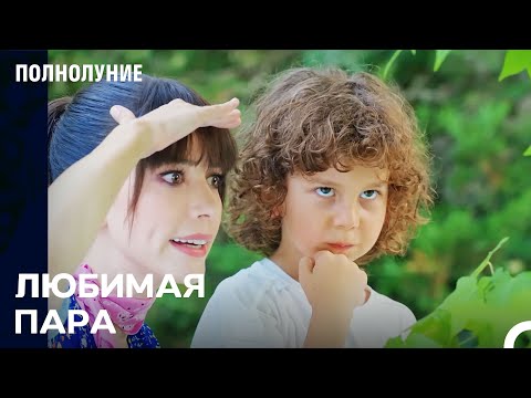 Видео: Лучшие партнёры - Полнолуние