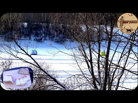 Видео: В РЕКЕ ПОЛНО РЫБЫ,ПОПАЛ НА РАЗДАЧУ,ЗИМНЯЯ РЫБАЛКА НА КОРОМЫСЛО.
