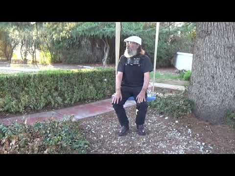 Видео: '65 Harley Panhead и никогда не оглядывался назад