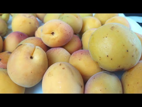 Видео: Как сделать абрикосовый уксус?