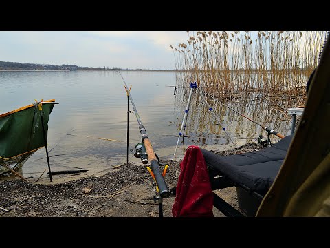 Видео: Фидерная рыбалка весной на водохранилище. Травянка.