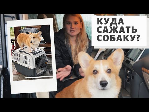 Видео: Как возить собаку в машине? Гамаки, автокресла, клетки для собак.