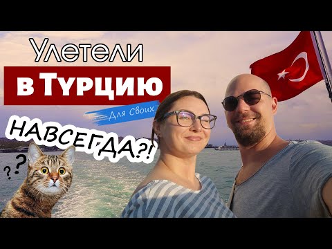 Видео: УЕХАЛИ В ТУРЦИЮ ЖИТЬ⁉️ Отношение к русским в Турции сейчас, Цены в Махмутларе, квартира в Алании