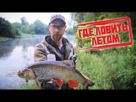 Видео: Где и на что ловить жереха и голавля.