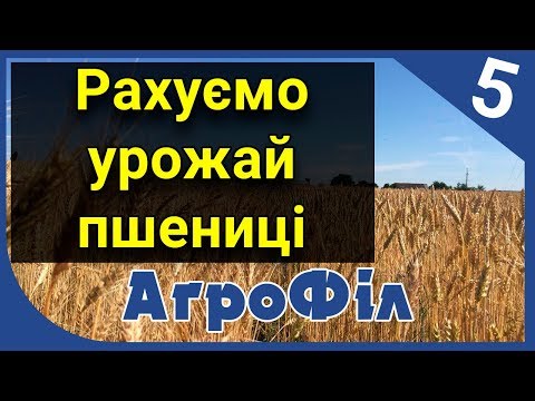 Видео: Рахуємо урожай пшениці. АгроФіл 5