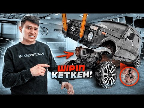 Видео: Ниваға АНТИКОР Себеміз // Астыңғы жақты ТОЛЫҚТАЙ ТАЗАЛАДЫҚ //ШІРІККЕ ЖОЛ ЖОҚ// Проект БРОНИК 5-бөлім