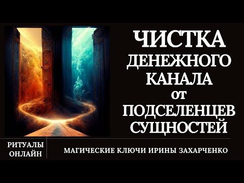 Видео: ЧИСТКА ДЕНЕЖНОГО КАНАЛА от ПОДСЕЛЕНЦЕВ-СУЩНОСТЕЙ-БЛОКОВ-КРАДНИКОВ. Чистка негатива.