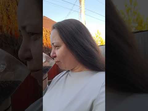 Видео: 5 ноября 2025 г.