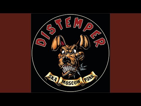 Видео: Осторожно - нам всё можно!