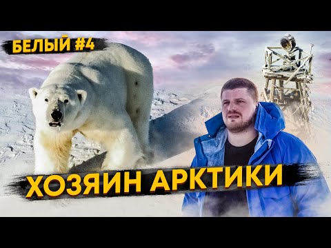 Видео: ПЕРВАЯ ВСТРЕЧА С БЕЛЫМ МЕДВЕДЕМ. КАК ПОЛЯРНИКИ ЖИВУТ НА АРКТИЧЕСКОЙ  МЕТЕОСТАНЦИИ. О.БЕЛЫЙ #4