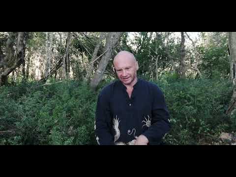 Видео: Васаны. Все есть ум. Проклятие Кришны. 08.08.19 Павел Ян.