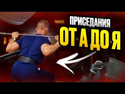 Видео: ВСЕ ЧТО ВАМ НУЖНО ЗНАТЬ ПРО ПРИСЕДАНИЯ СО ШТАНГОЙ