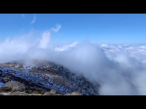 Видео: Над Облаками! Зимний Перевал Наутсай! 10.11.24 Шымкент! Казахстан! Kazakhstan!Природа 4К!ПОДПИШИСЬ!