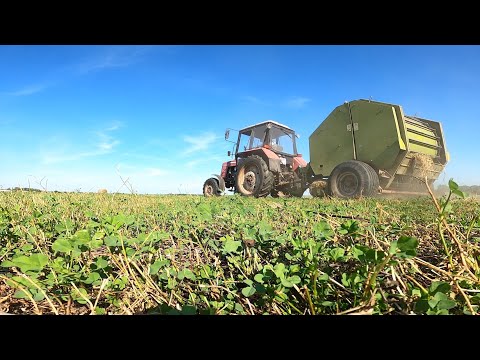 Видео: Как я учился прессовать рулоны сена!